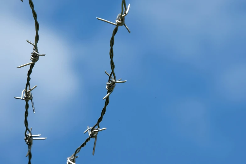 a close up s of the top barbed wire