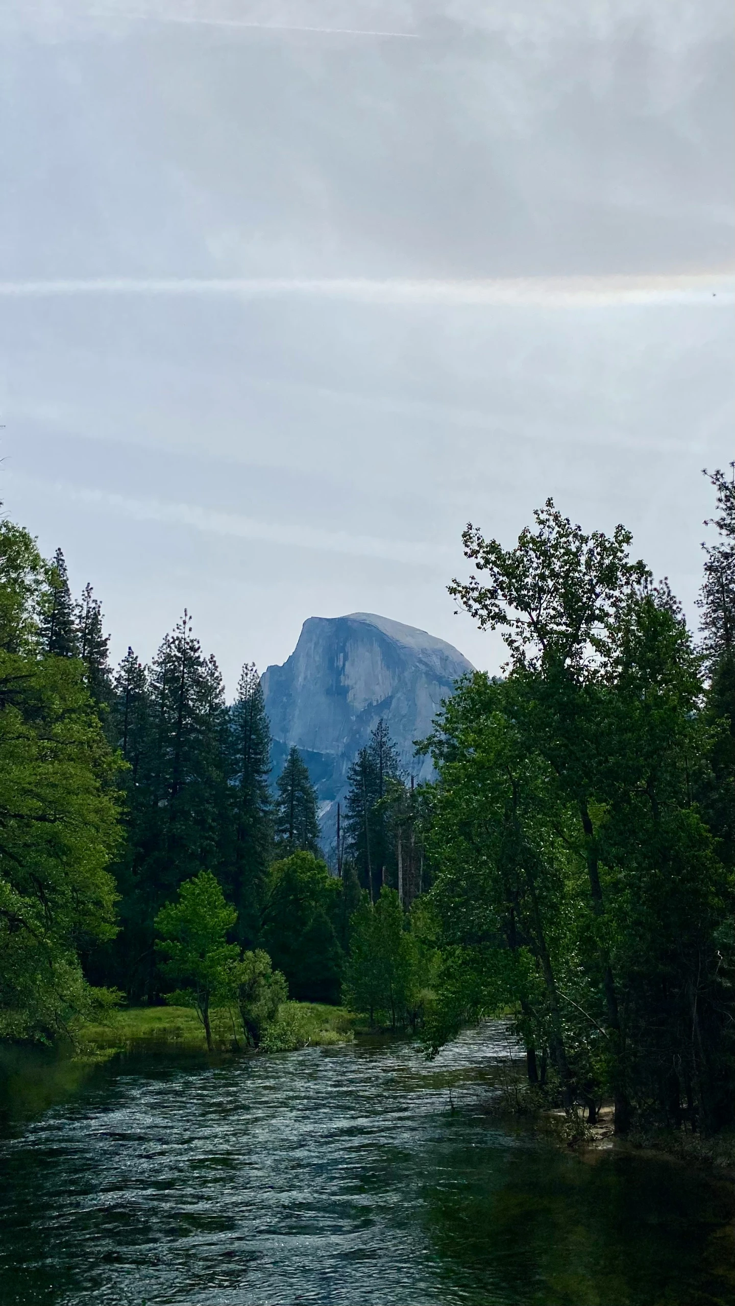 a river running by a mountain covered with trees