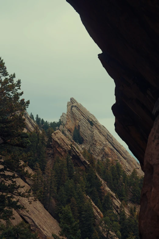 the rocks of a mountain side and trees on the far side