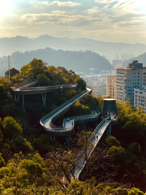 winding road in the middle of a forest, with high rise buildings in background