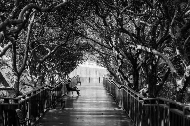 black and white po of a woman sitting on bench on pathway
