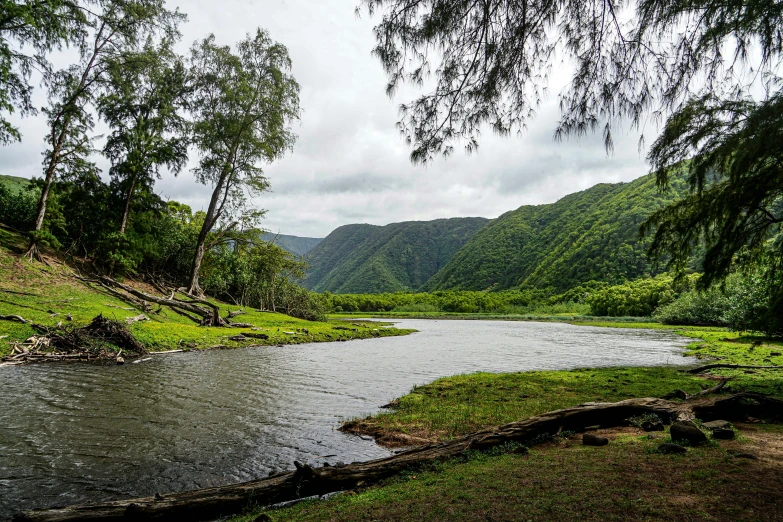 an empty river runs between lush green mountains