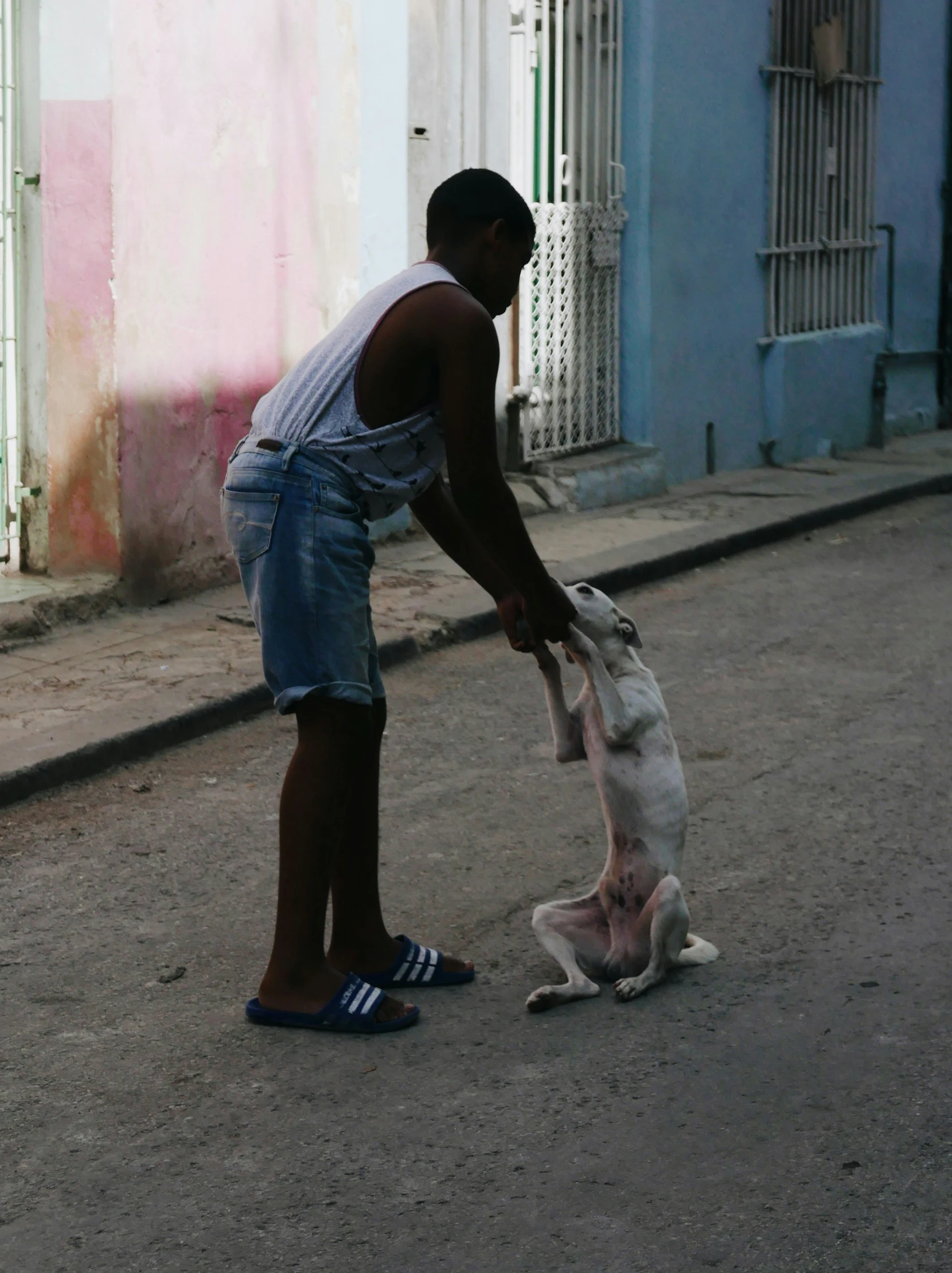 a  standing by the sidewalk feeding a goat