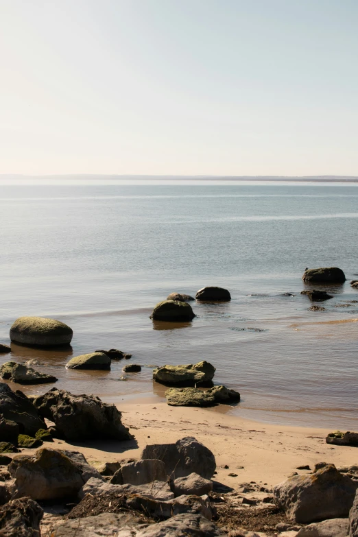 two surfers walking through the water by the shore