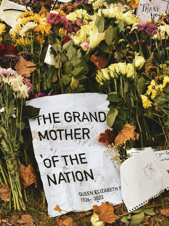 flowers and signs lay in the grass as a memorial