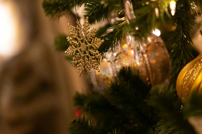 a picture of the ornaments on a christmas tree