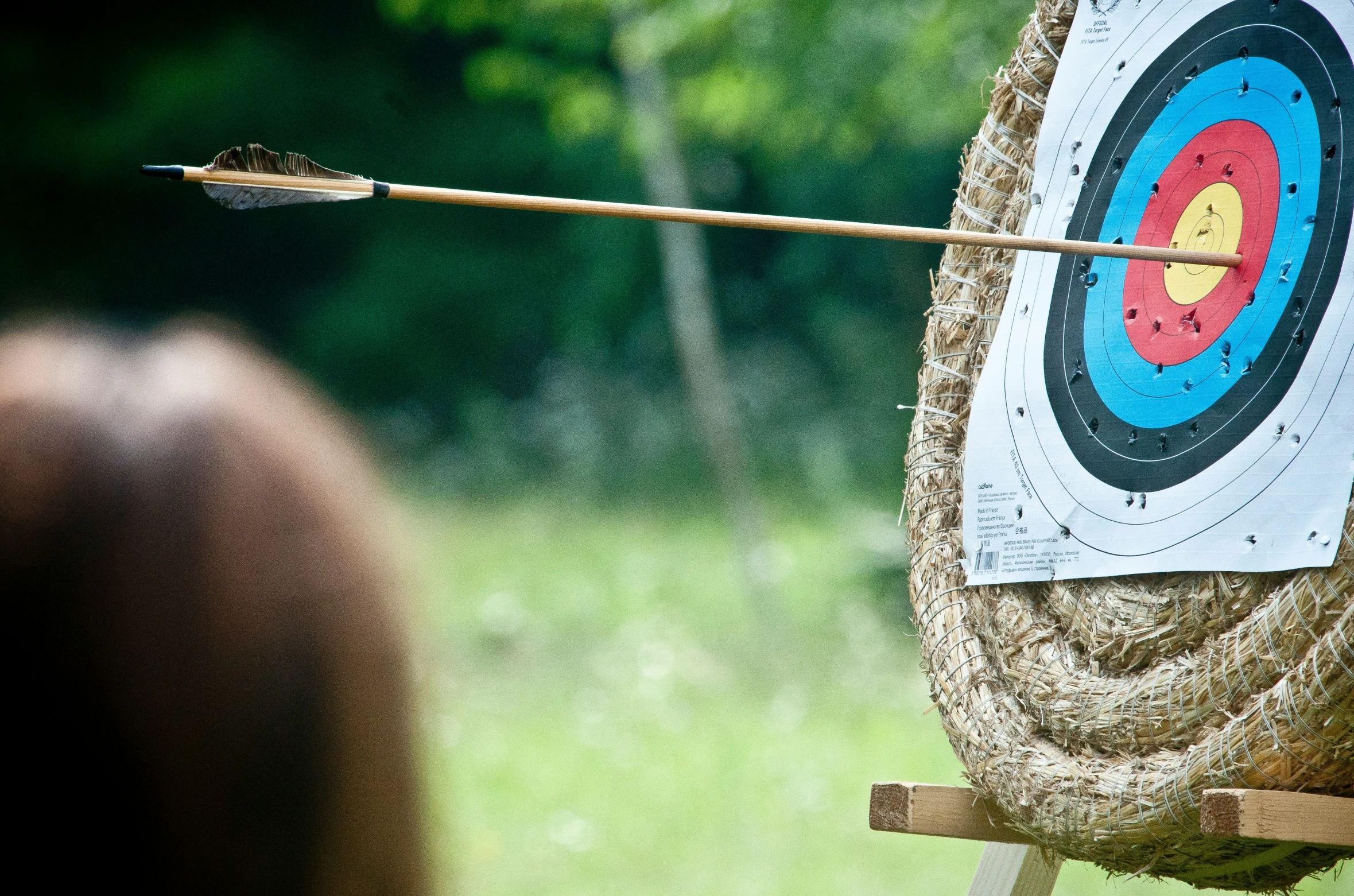 a large archery target placed in front of a black bear