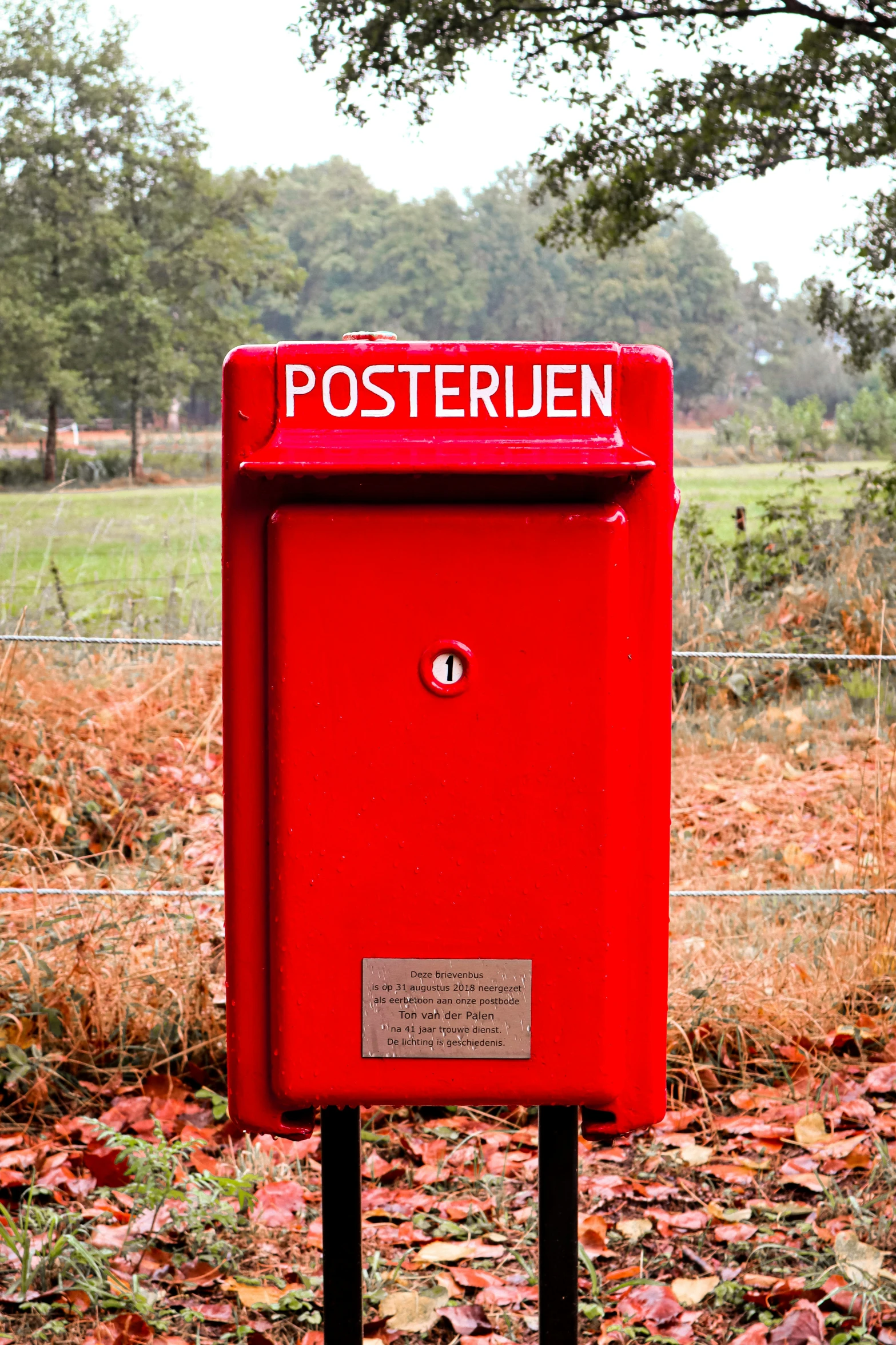 a red post box in a field with many leaves on the ground
