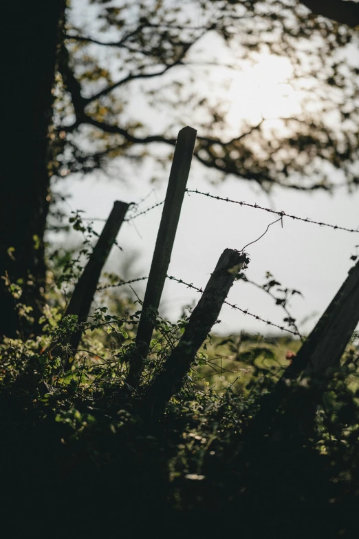 a close up of a fence in the background