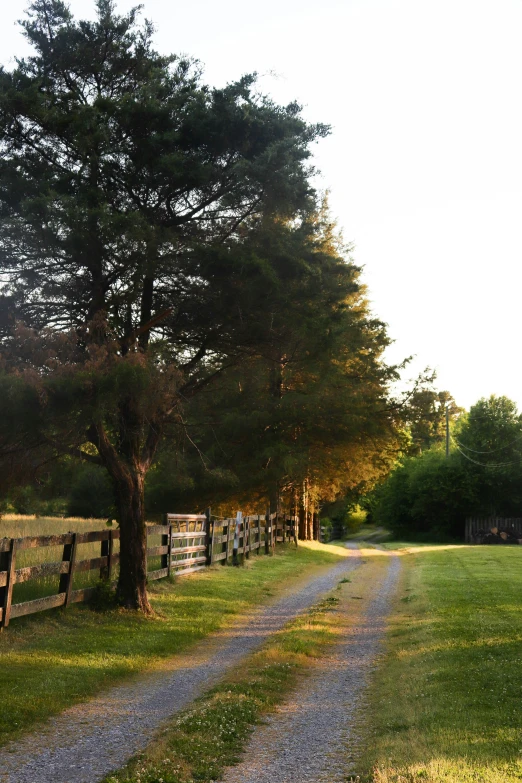 a dirt path leading through a field with a fence and trees