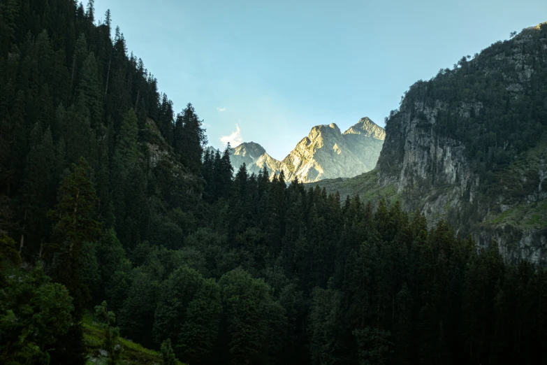 the mountains have trees all around them with low clouds