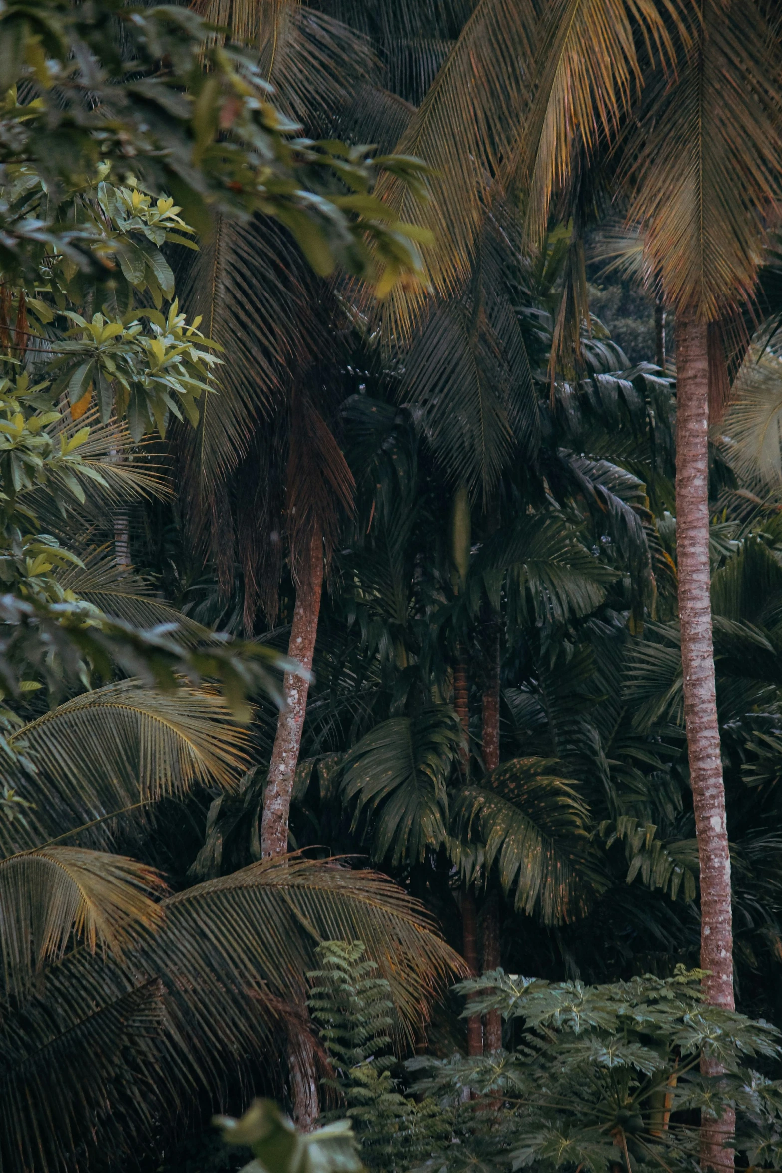 a person sitting on top of a bench under a palm tree