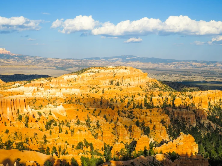 the mountain is full of pine trees, in the middle of the desert