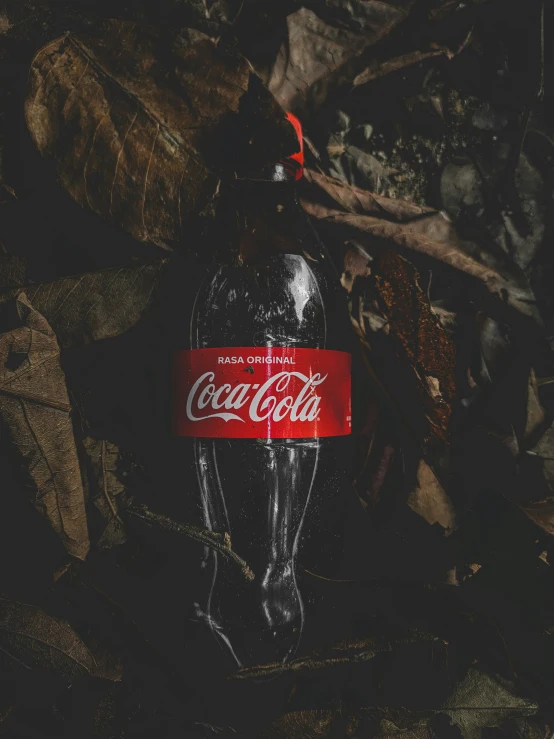 there is a bottle of coca cola next to some leaves