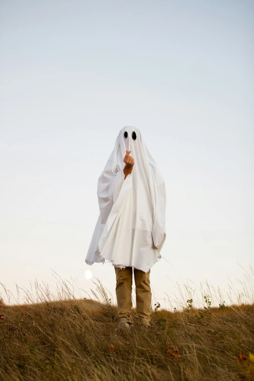 a person wearing a ghost costume standing on the ground