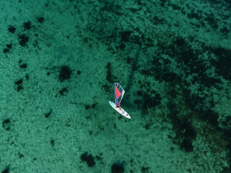 an aerial view of the surfboarders and their surf board