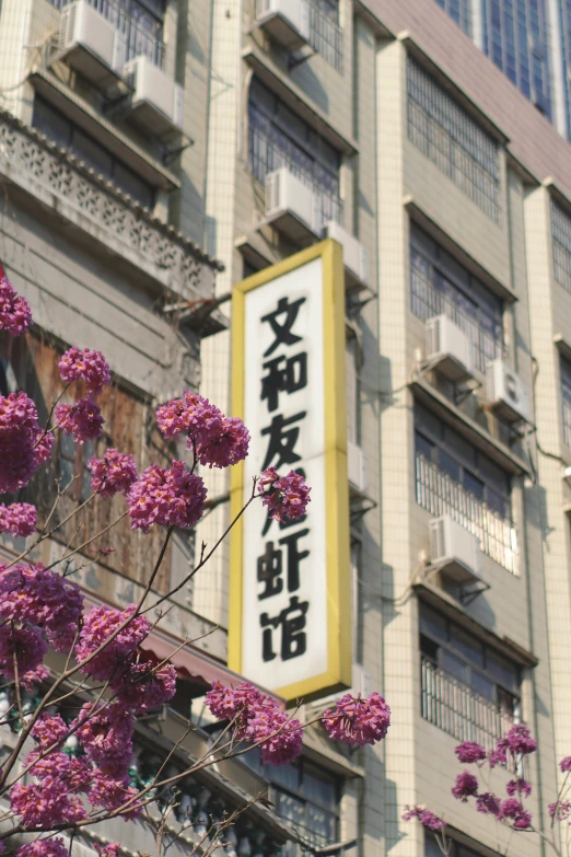 flowers are in front of an oriental sign