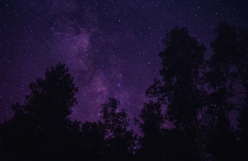 a night view of some dark trees with many stars in the sky