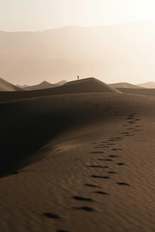 footprints make their way across the sand as the sun rises