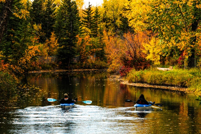 a couple of people riding paddle boards across a lake