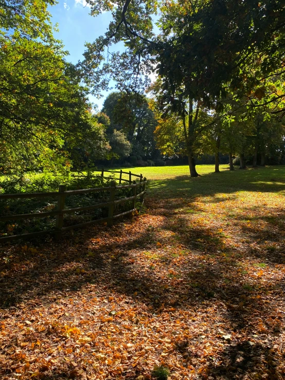 a field is shown with trees and grass