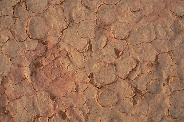 the brown clay is almost covered by dust