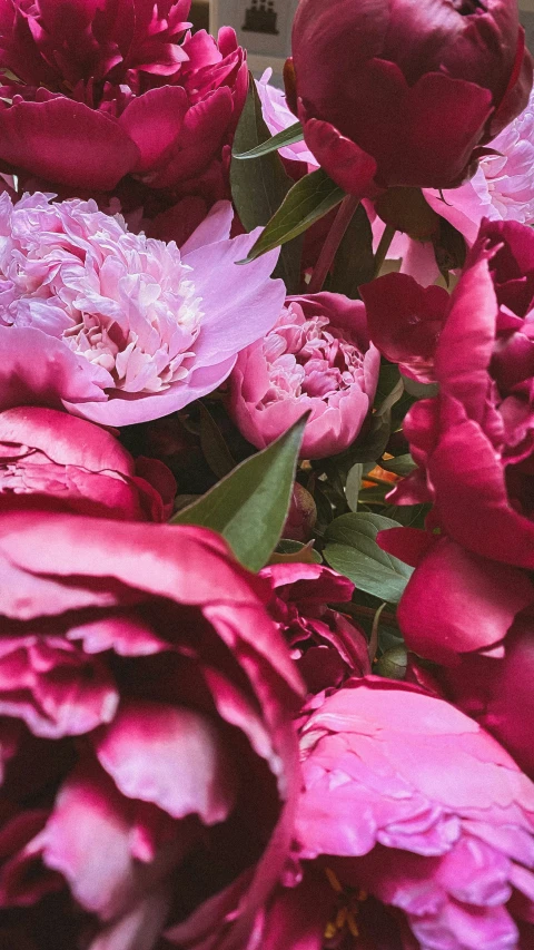 a bunch of flowers sitting in a vase on the table