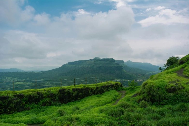 a grassy mountain side is covered by vegetation