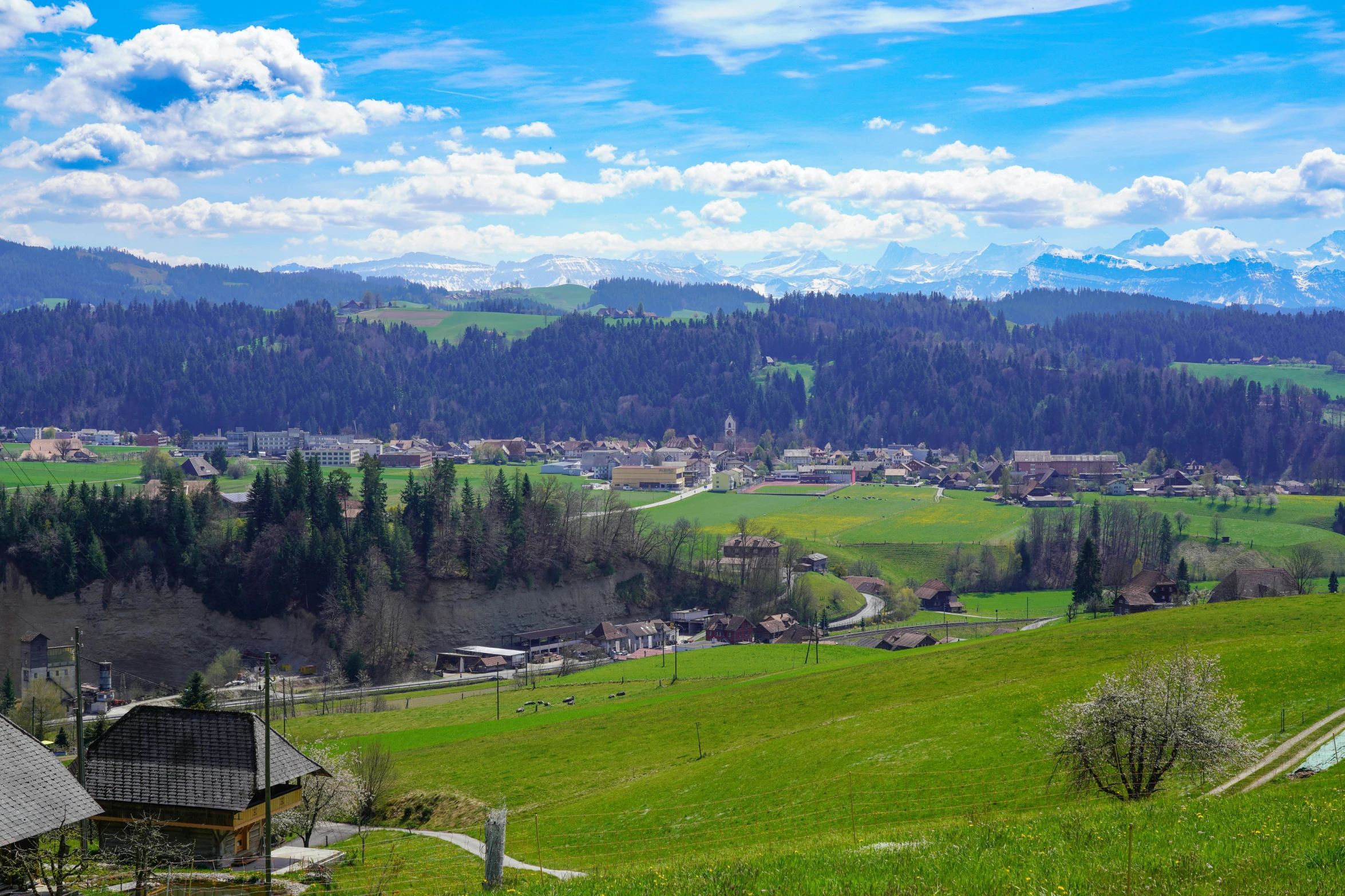 a green field with grass and buildings on it