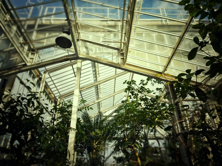 inside view of the glass and steel structure on a greenhouse