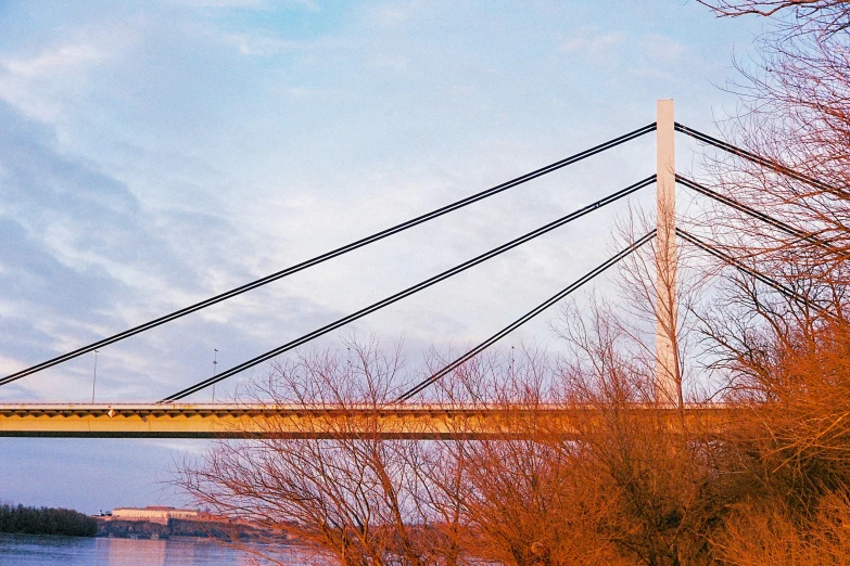 bridge going over water with orange trees in front