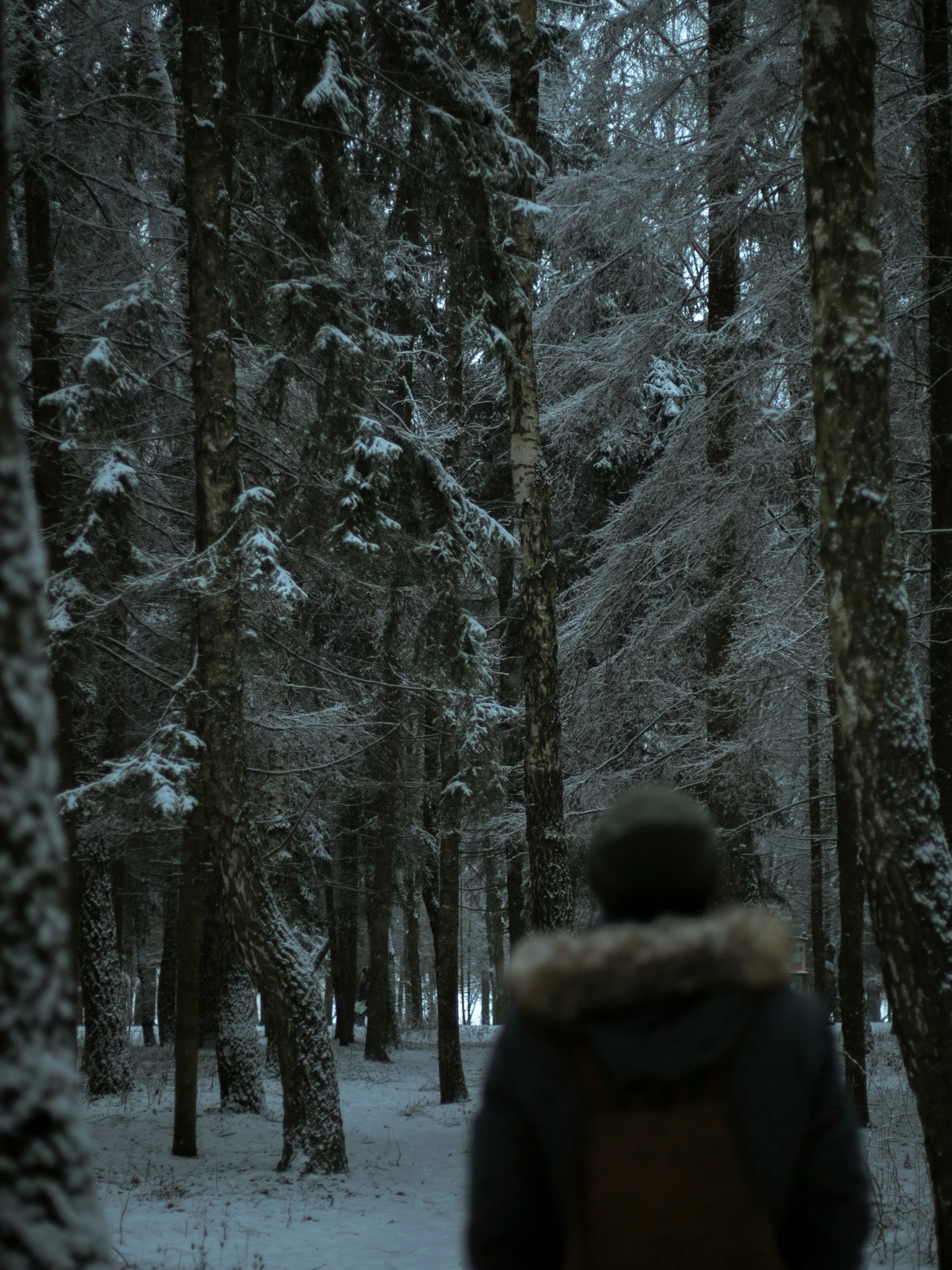 a person wearing a backpack walks through a snow - covered forest