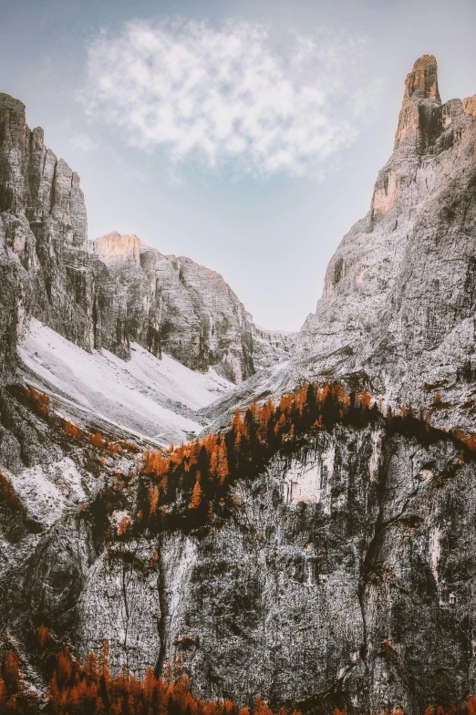 snow - covered mountains and trees with clouds in the sky