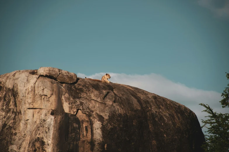 there is a man standing on the side of a rock