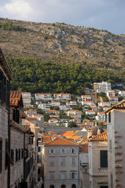 a city in the mountains with buildings and trees