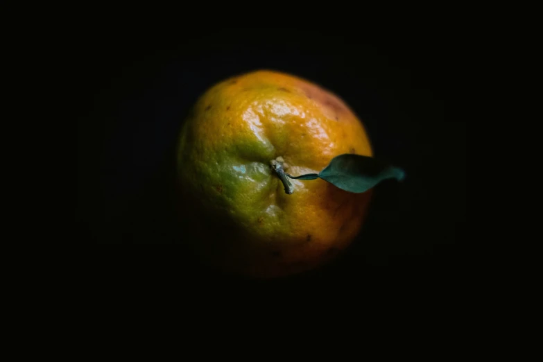 an orange with a leaf sticking out of it