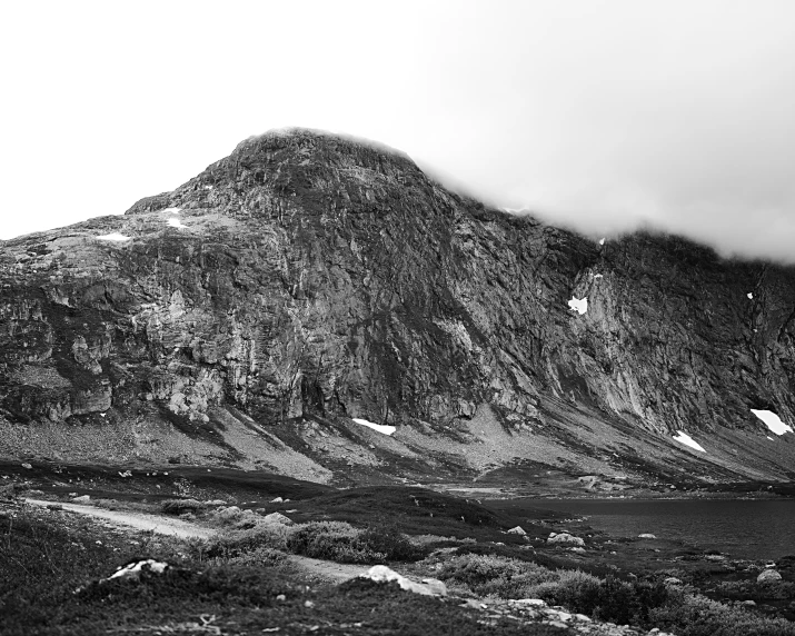 mountains and forest at the base of a foggy mountain