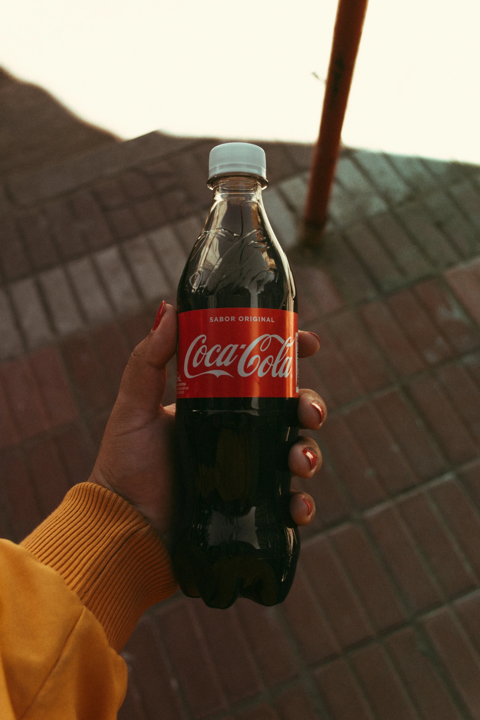 a person holding a bottle of coca cola
