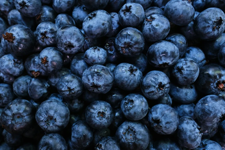 large blueberries for sale in front of a wall