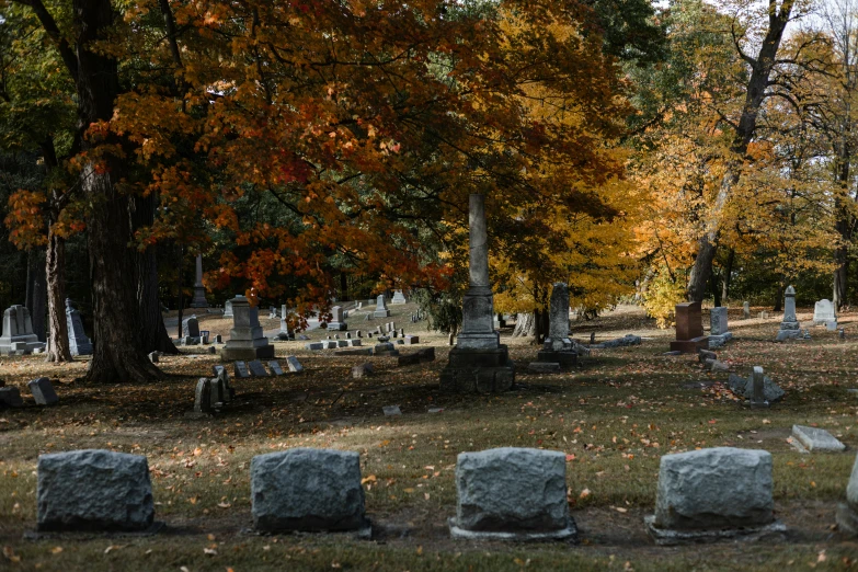 the graveyard in the middle of the autumn leaves