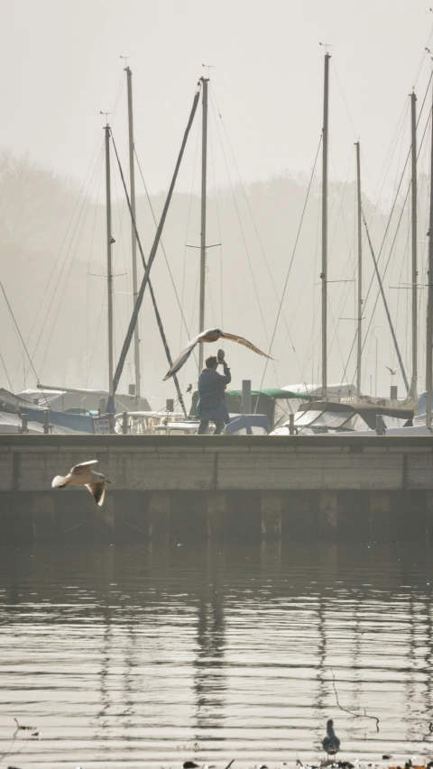 there is a man that is sitting on the docks