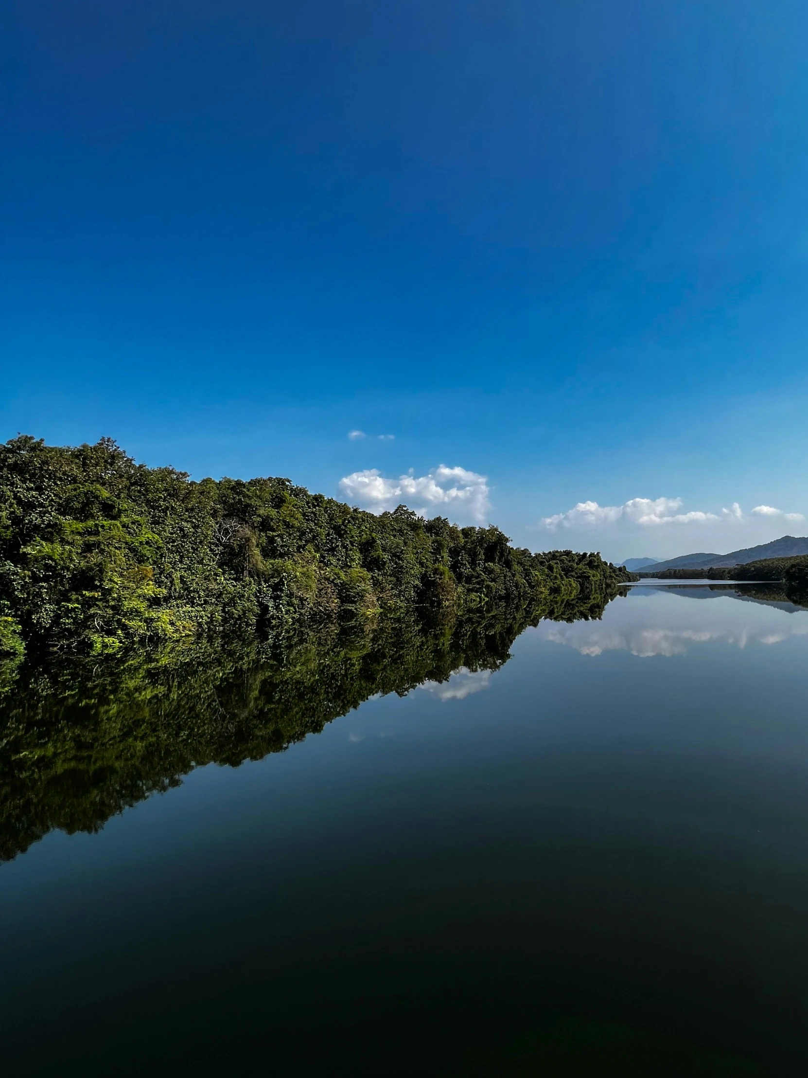 a tree lined river under a blue sky