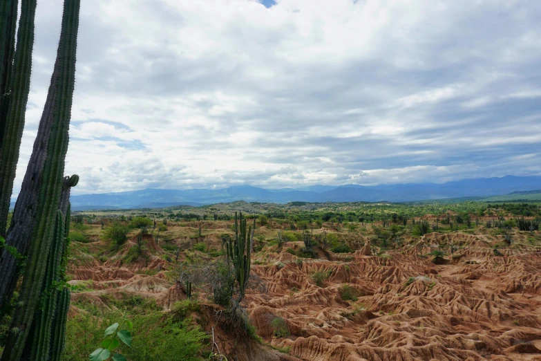 desert area with arid ground and mountains in distance