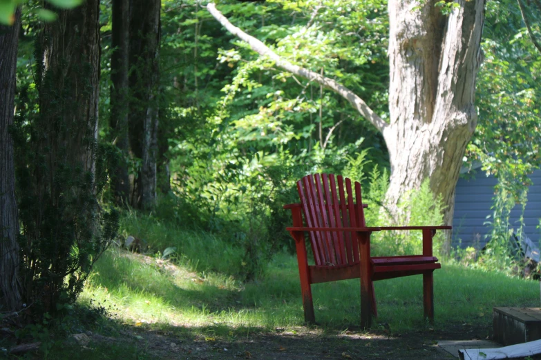 the bright red chair is against the backdrop of trees