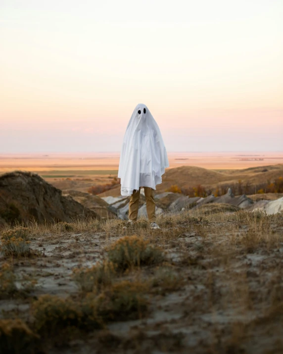 someone in a ghost suit walking on a grassy plain