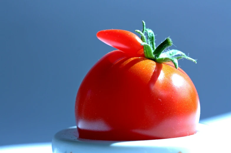 a single tomato that is laying on top of another