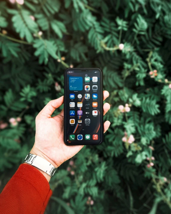 a person is holding an iphone up in front of a tree