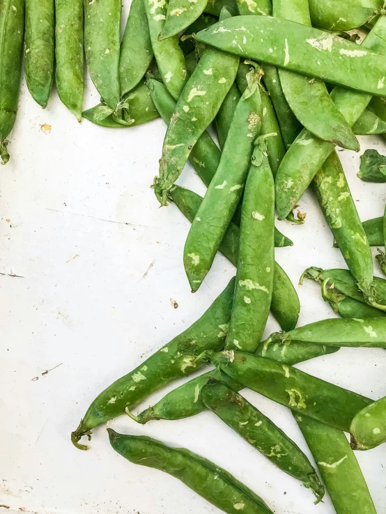 pea pods are the only green bean that has gone to open