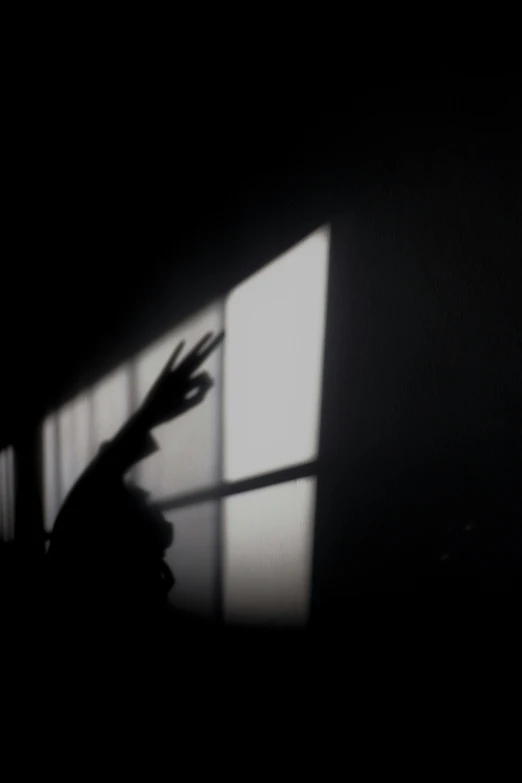 shadow of person making a hand gesture near window