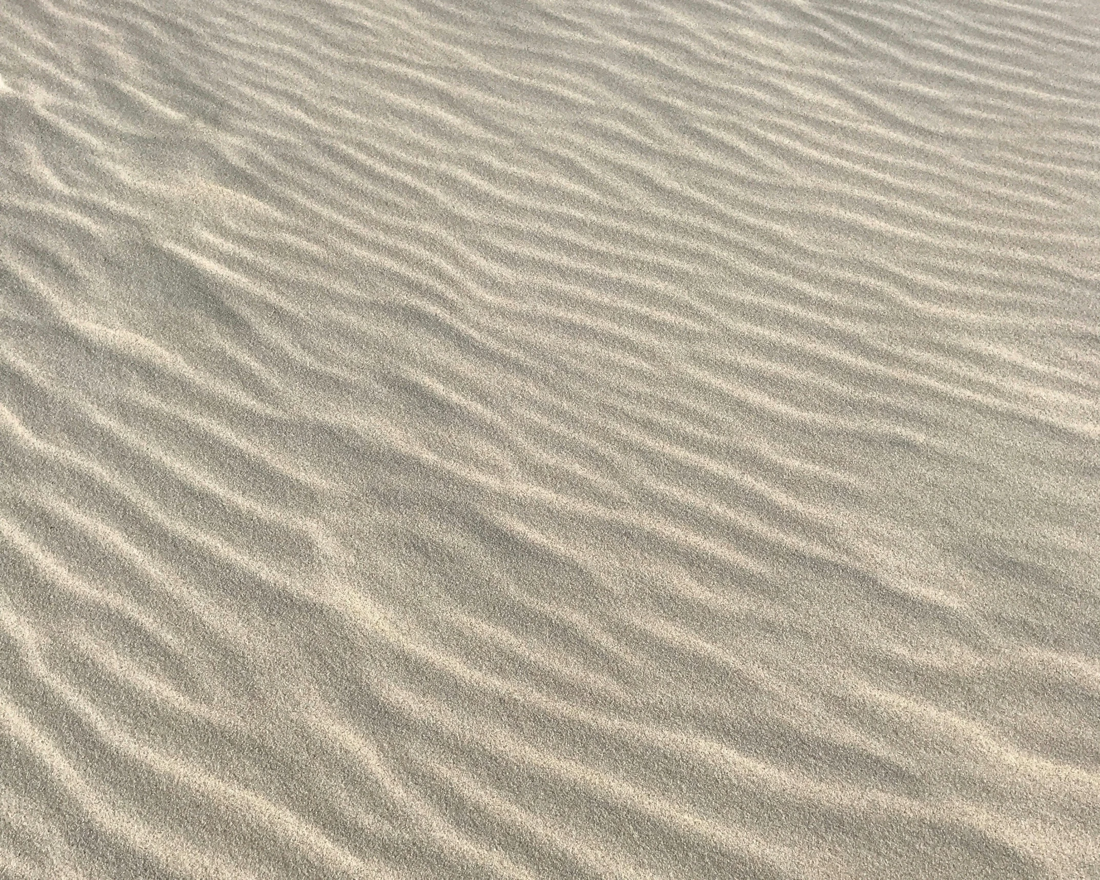 a close up view of a small rock formation on a sand - capped area